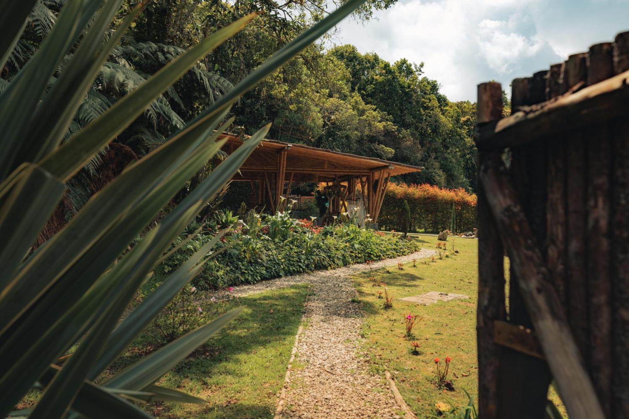 Bubblesky Glamping 15 Min From Medellin Hotel Рионегро Екстериор снимка