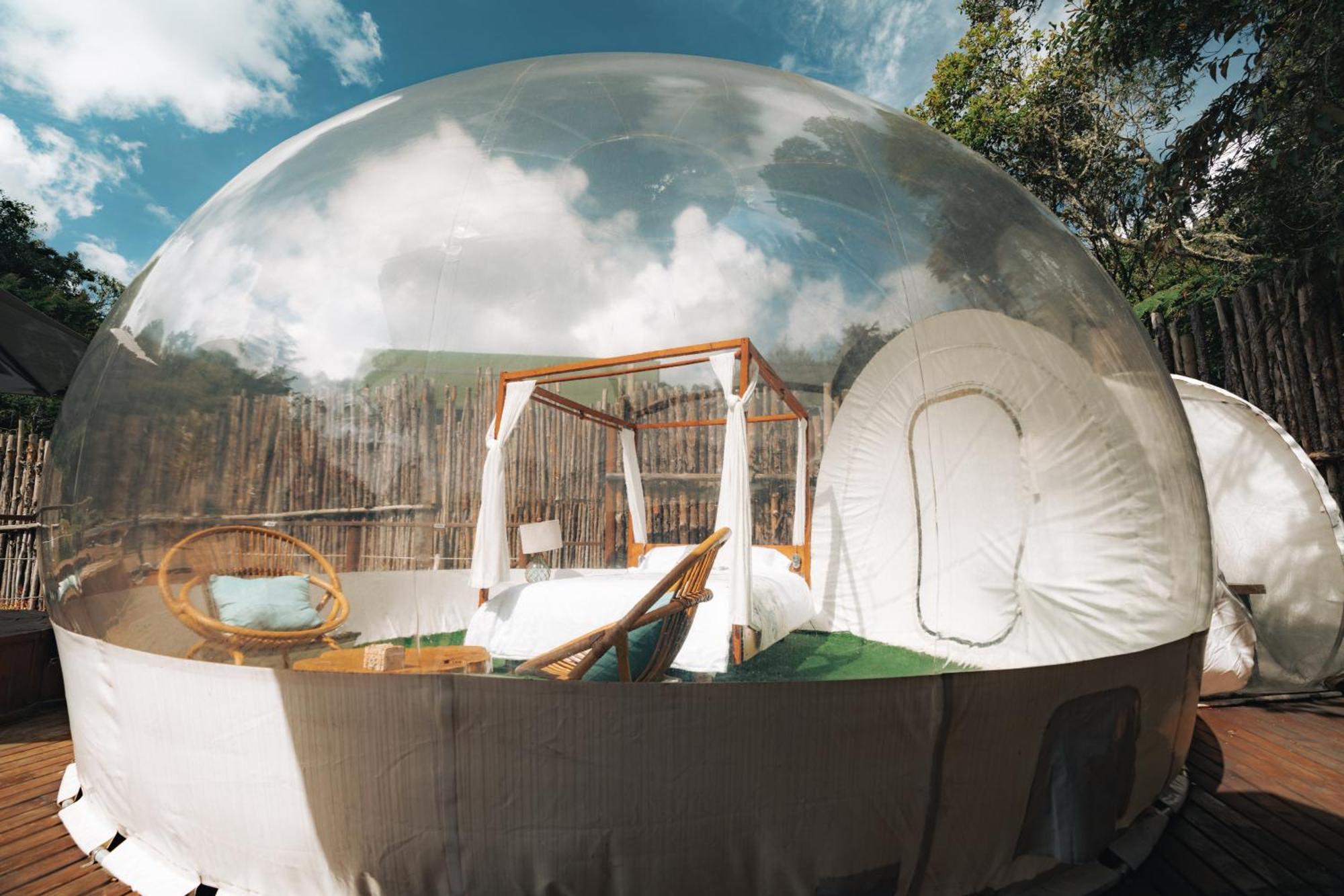 Bubblesky Glamping 15 Min From Medellin Hotel Рионегро Екстериор снимка