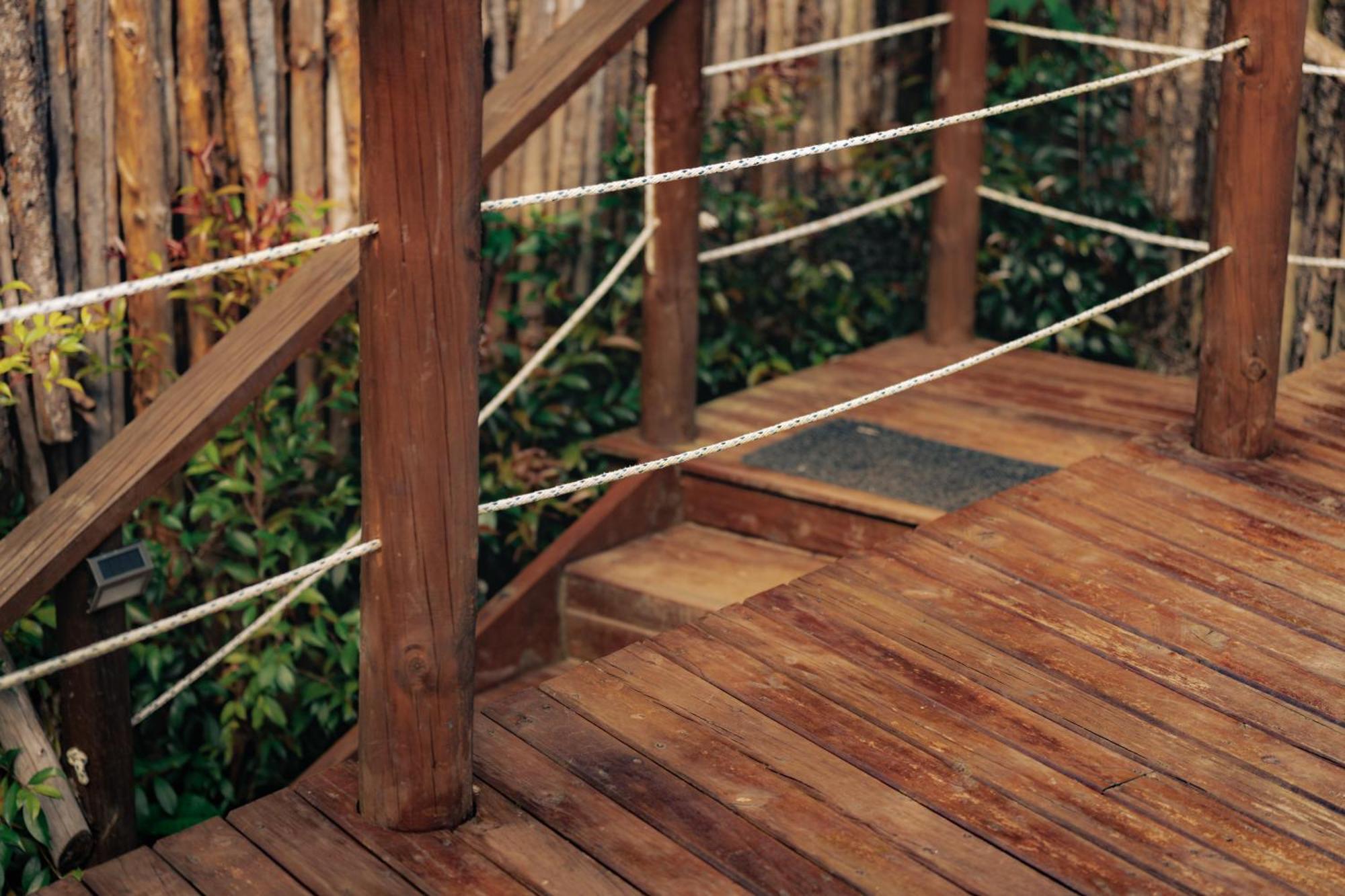 Bubblesky Glamping 15 Min From Medellin Hotel Рионегро Екстериор снимка