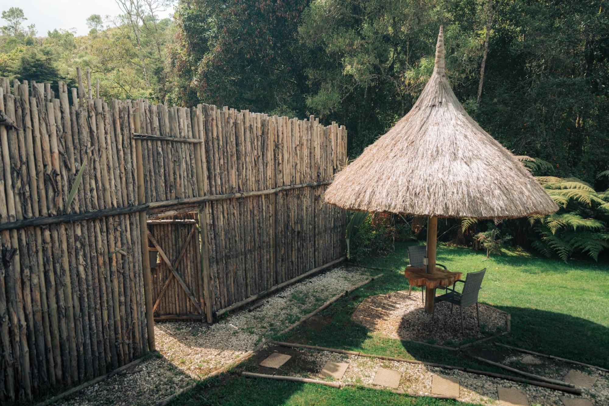 Bubblesky Glamping 15 Min From Medellin Hotel Рионегро Екстериор снимка