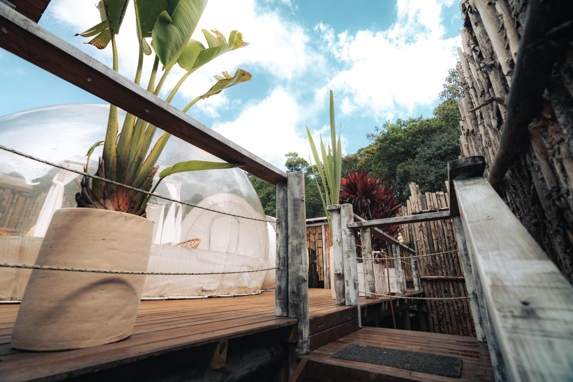 Bubblesky Glamping 15 Min From Medellin Hotel Рионегро Екстериор снимка