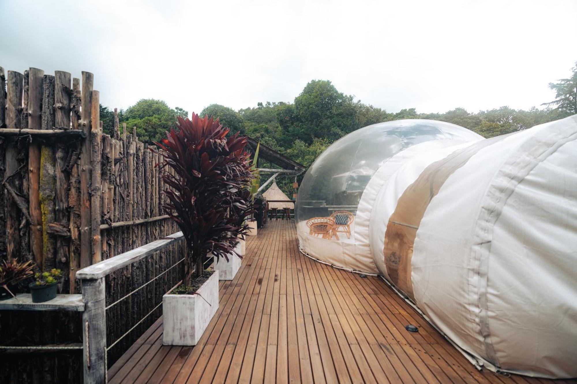 Bubblesky Glamping 15 Min From Medellin Hotel Рионегро Екстериор снимка