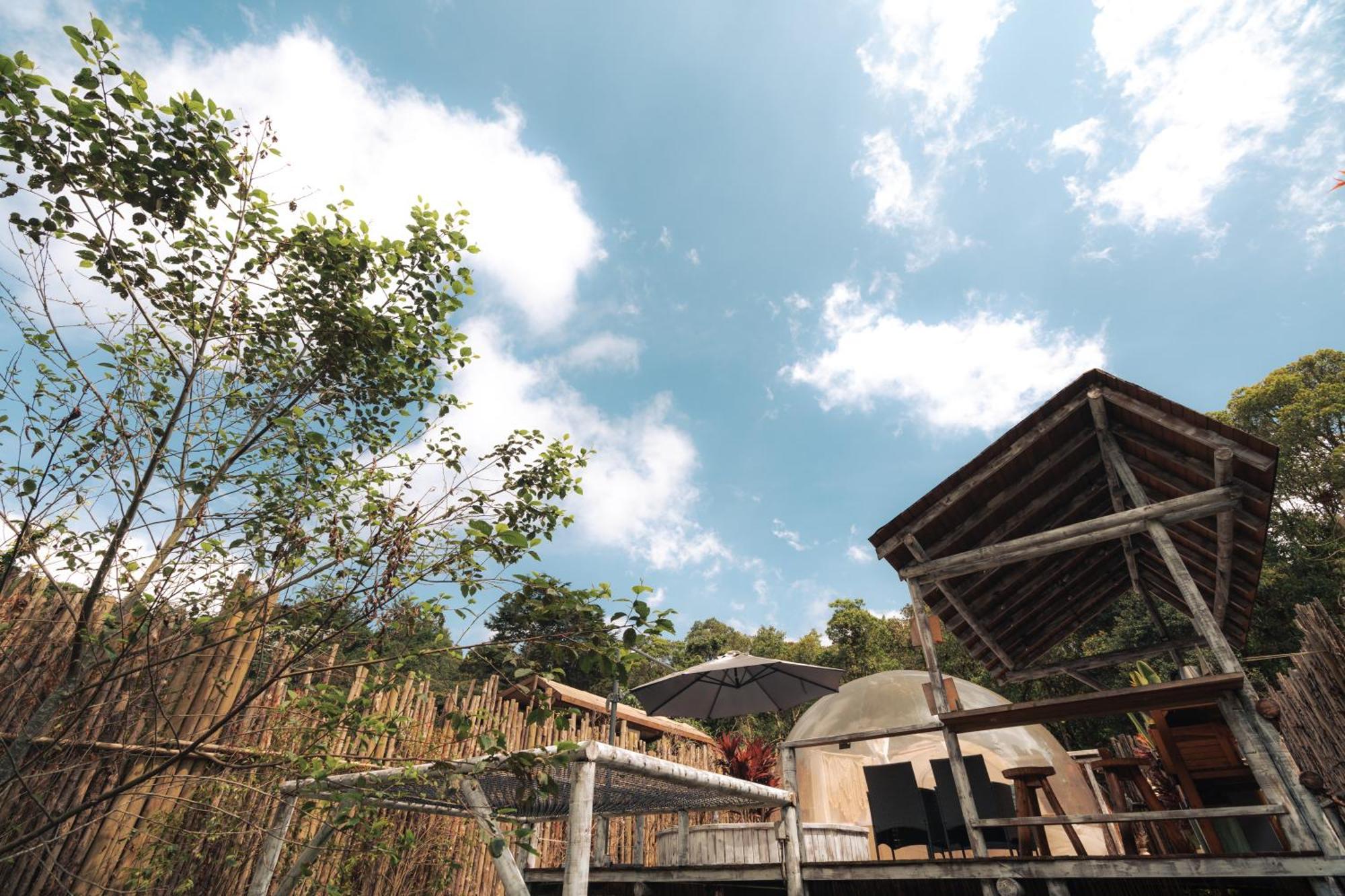 Bubblesky Glamping 15 Min From Medellin Hotel Рионегро Екстериор снимка