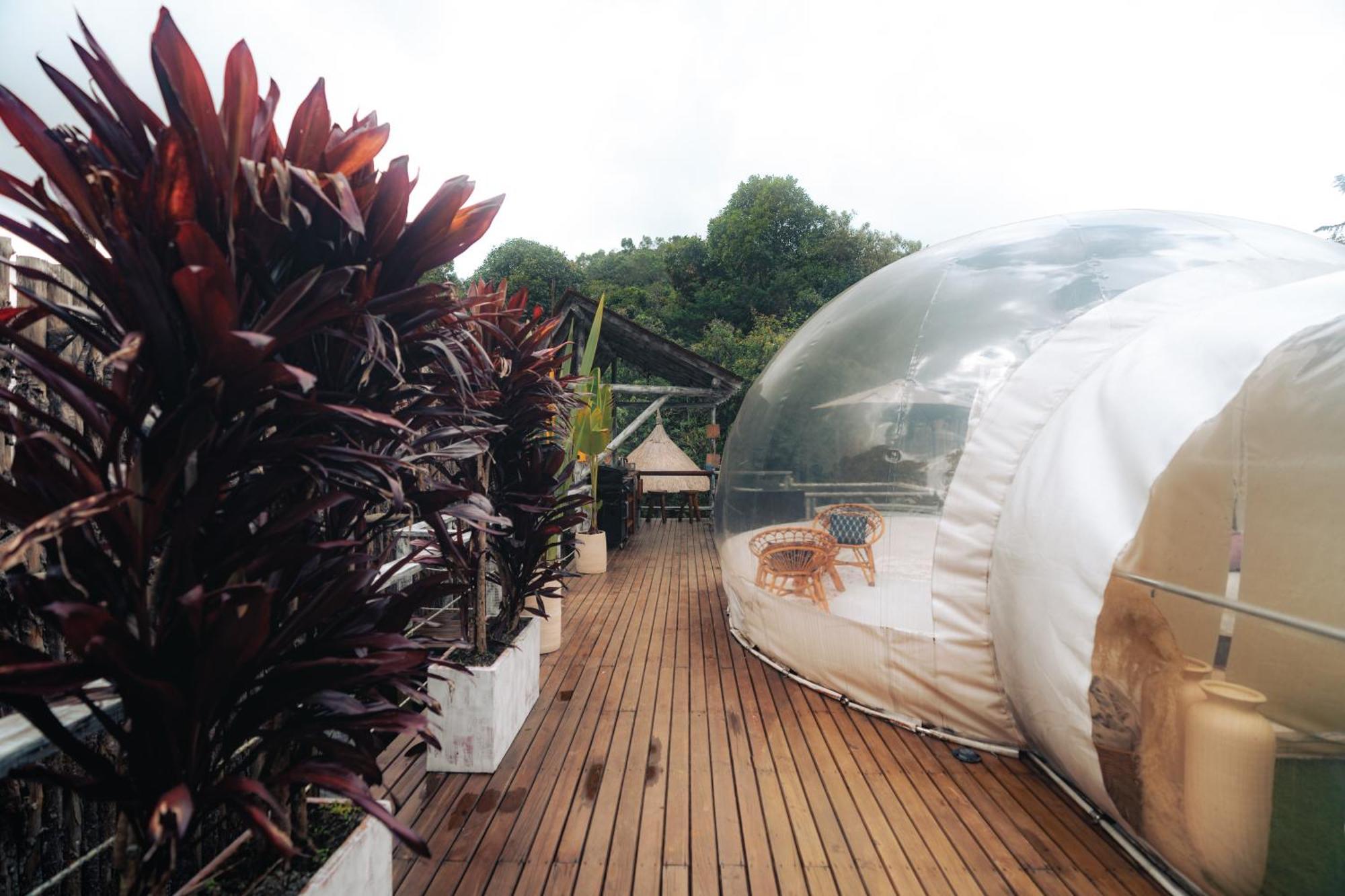 Bubblesky Glamping 15 Min From Medellin Hotel Рионегро Екстериор снимка