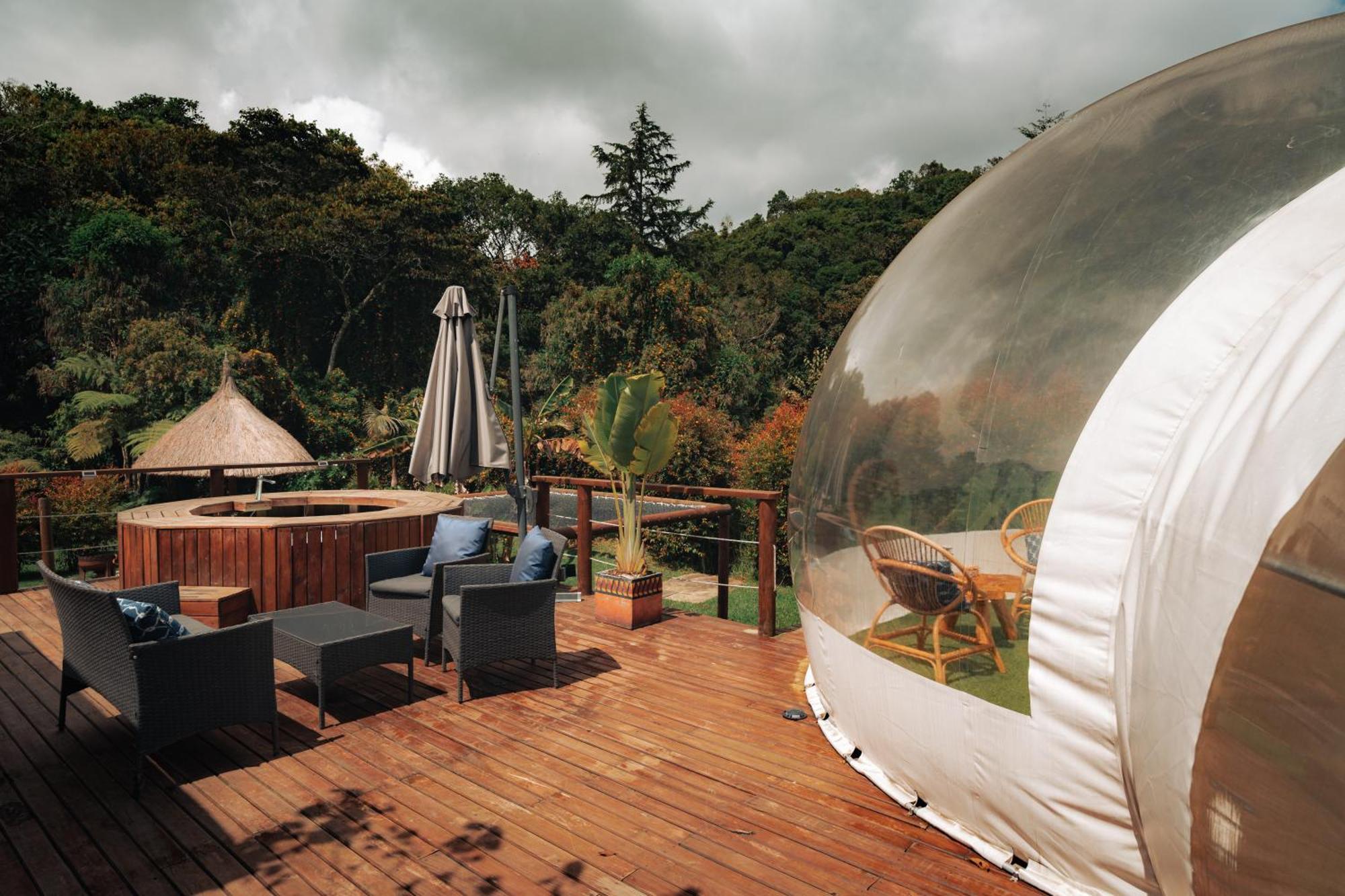 Bubblesky Glamping 15 Min From Medellin Hotel Рионегро Екстериор снимка